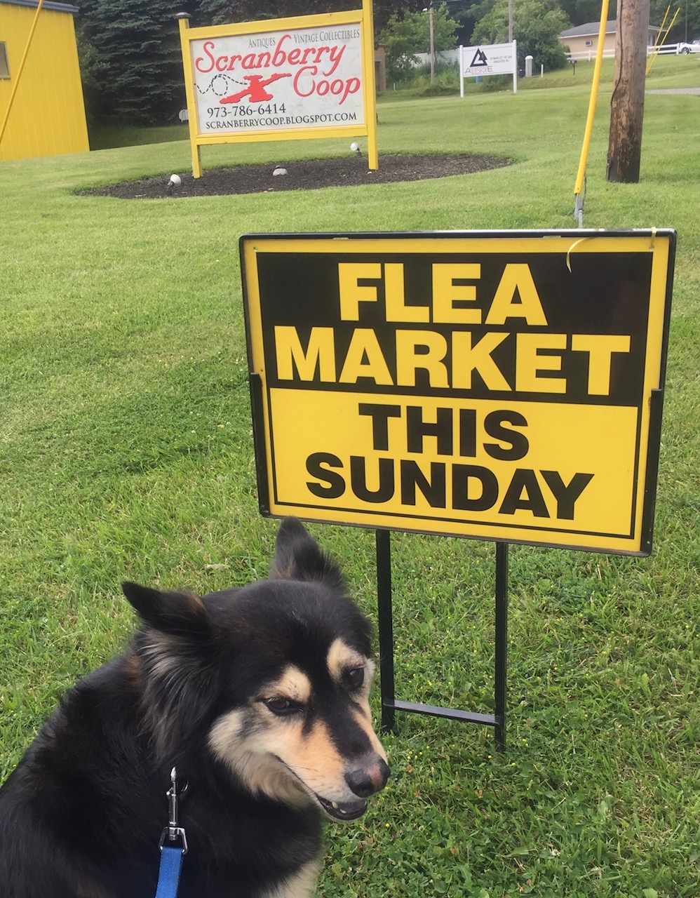 Flea Market - Scranberry Coop - Vintage Store - Antiques, Collectibles, & More